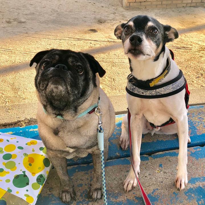 07ccdfdb 8a13 4c36 abfc f06e0972fcdb 1558532632652