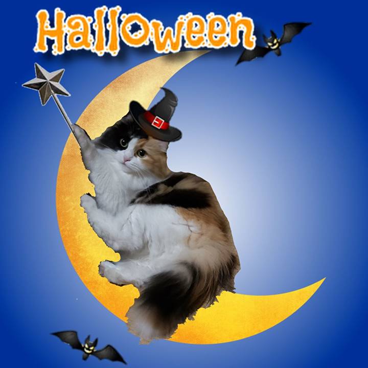 07cd00c4 73cf 4991 bd47 699b118b81e6 1603619217175