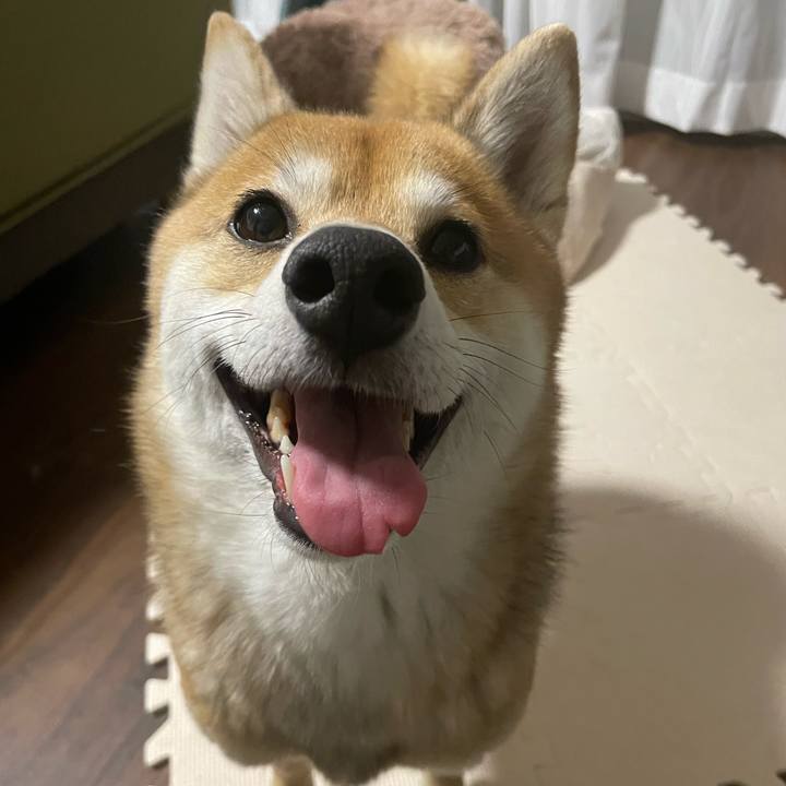 07cd1d7d 0941 4ba5 b6e3 839b92b5c07f 1730899142784