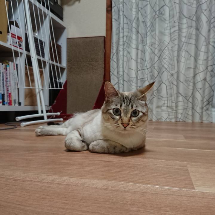 07cdd948 ec64 4aef a7e3 dfc426c6e37f 1523094816759