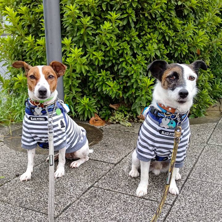 07cde13d b9a1 4173 8d62 e4f22f39b4d3 1629149959888