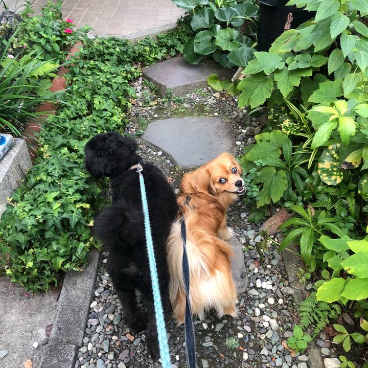 07cdf857 f1a4 48f2 a9a1 2091a9b66780 1534195528702