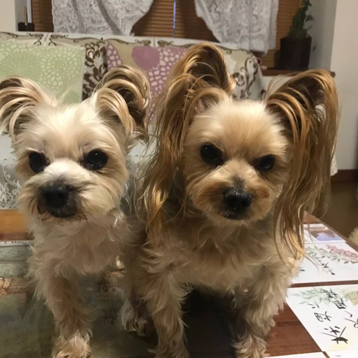 07ce5af0 91e6 4492 a7d9 9256b11bf202 1550221656797