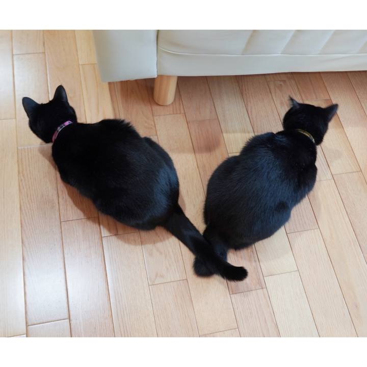 07ce5d70 3147 4a19 bf50 cef07449a1b6 1591752708897