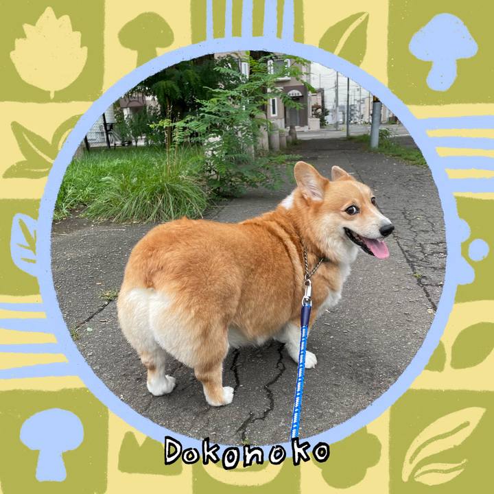 07ce7665 c3b2 4574 be01 c9500f827a04 1761911190588