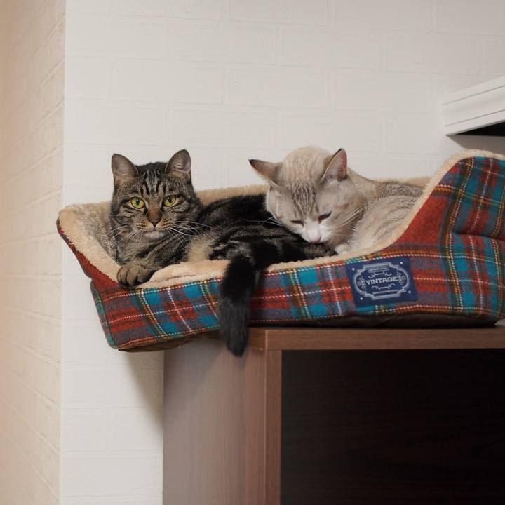 07ce8bd6 8a9d 4709 af36 4f7bb78dfb78 1543671144284