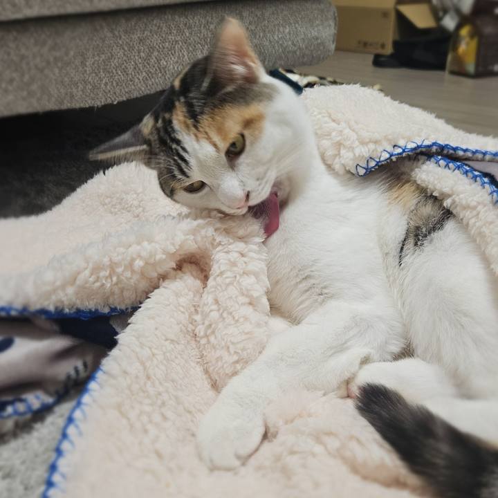 07ceab90 5652 4892 b88f ca1b665cdaee 1762084062423