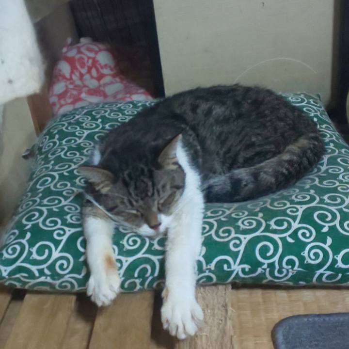 07ceb37e 93ae 4a7e b58a a826c6bc45c9 1596727685541