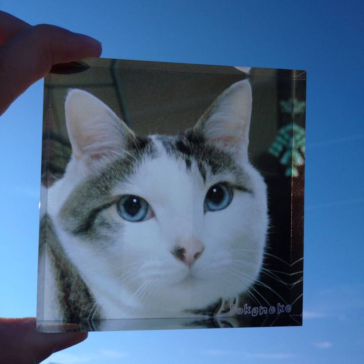 07ced1a1 0cc8 411c a2d2 0cecde3c9d97 1763612365499