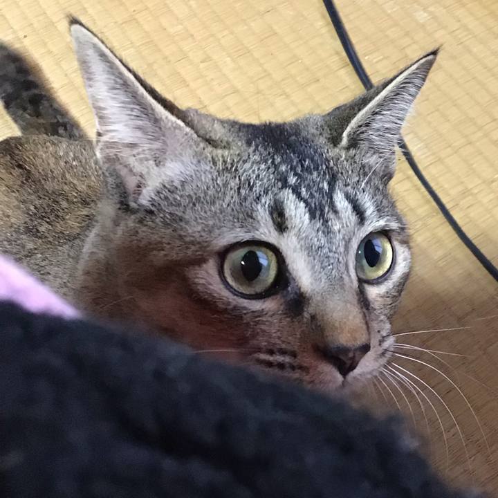 07cee9e2 2d32 4e49 834f f1525945c73d 1576987289177