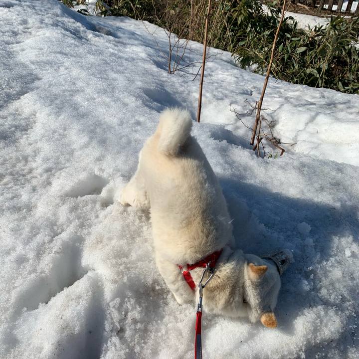 07ceedd6 f50f 4dcd a21d 7c1114b2e1b1 1585468590374