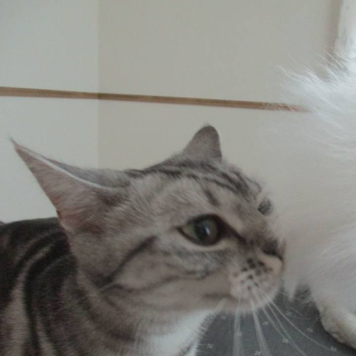 07cf0d67 9177 4b45 a3d2 5d9ea8db4a14 1558392937227