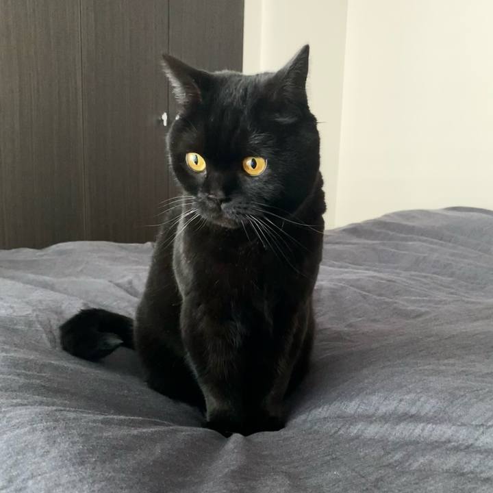 07cf195e 1f5d 4311 8925 93e623e1f06a 1742801189138