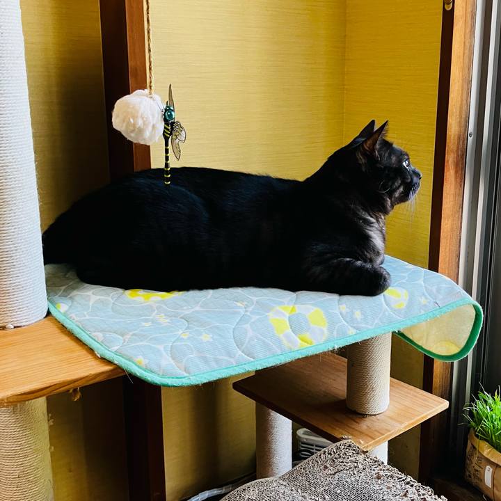 07cf3ed9 82c5 4578 a916 03be3bfefec2 1754354991601