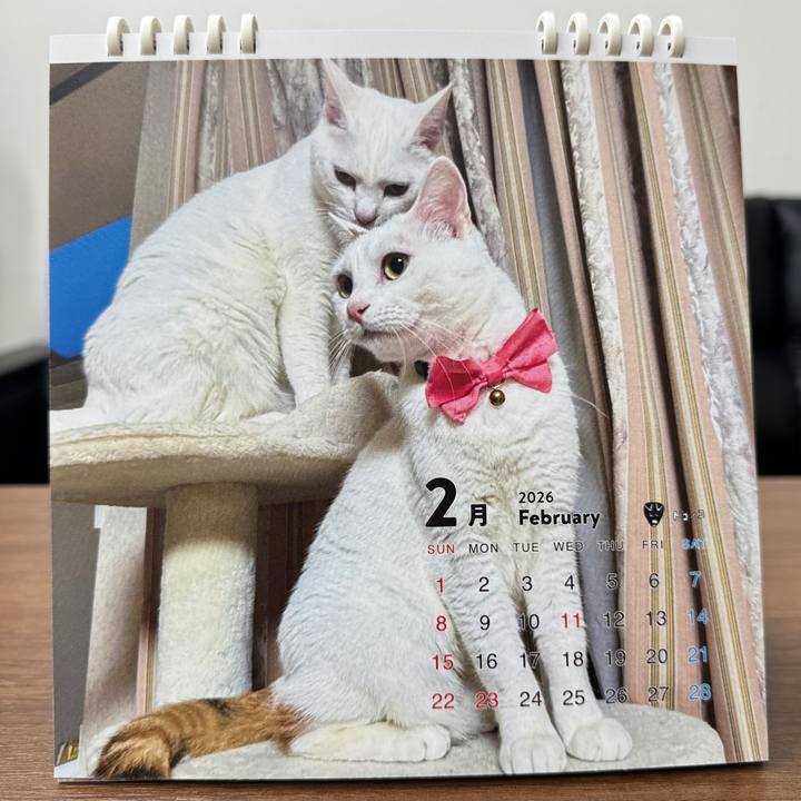 07cf3f4e 651b 48eb a873 b0247d6a8806 1770276176145