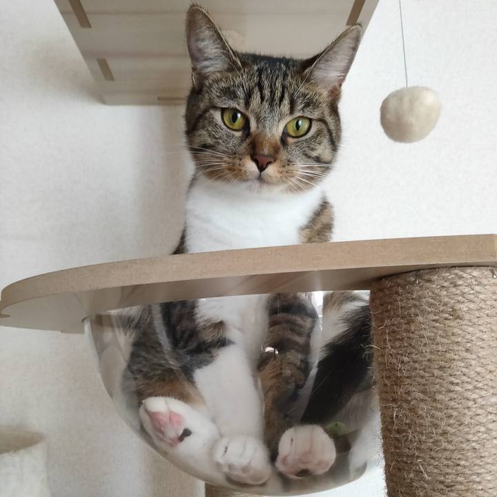 07cf86bd 3fcf 48ff a461 0c9069a25500 1662423260085