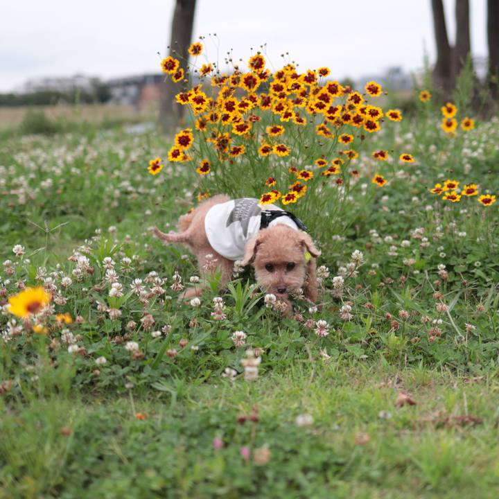 07cfc7b6 38c8 4120 9b0d 2f9d6c4fd6bf 1626269111224