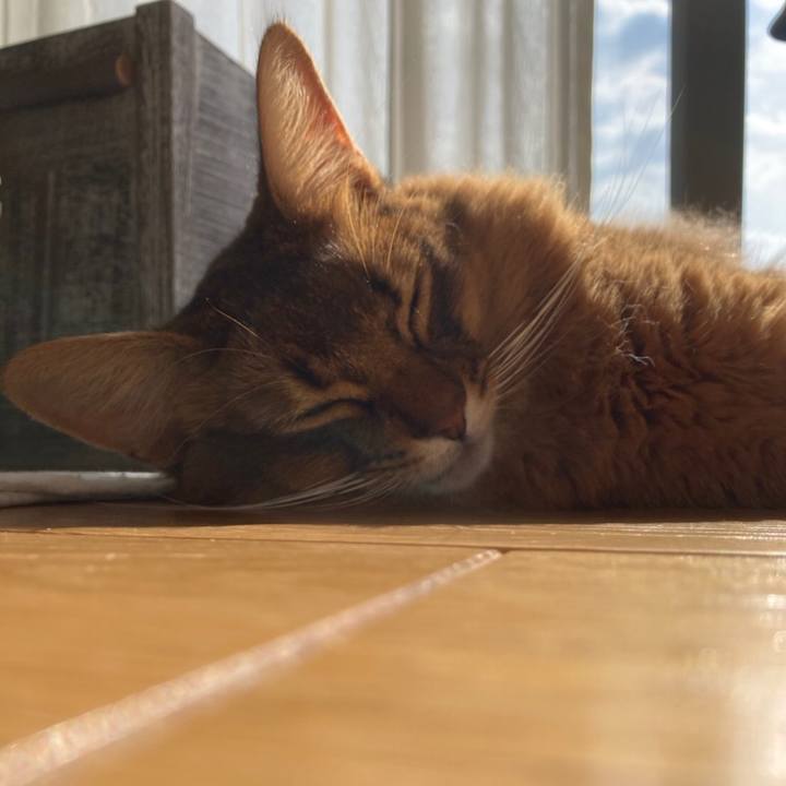 07cfcf34 6572 417e bfe3 92c15a81df5c 1613015888041