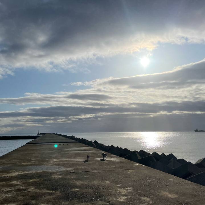 07cfefa0 aaf7 4d06 a85b 7bafaa1a599c 1647731840218