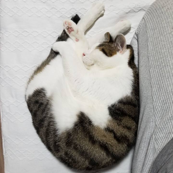 07d005a9 36f2 4fdc 9145 4802ffedce81 1618172360013