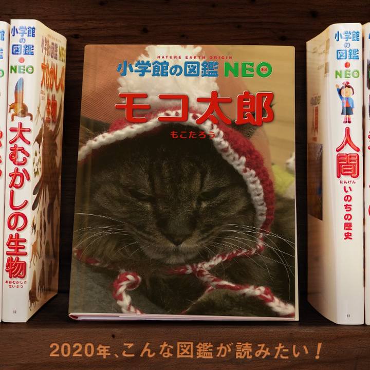 07d03832 079c 40cc 984b b013775e72f0 1577973901714