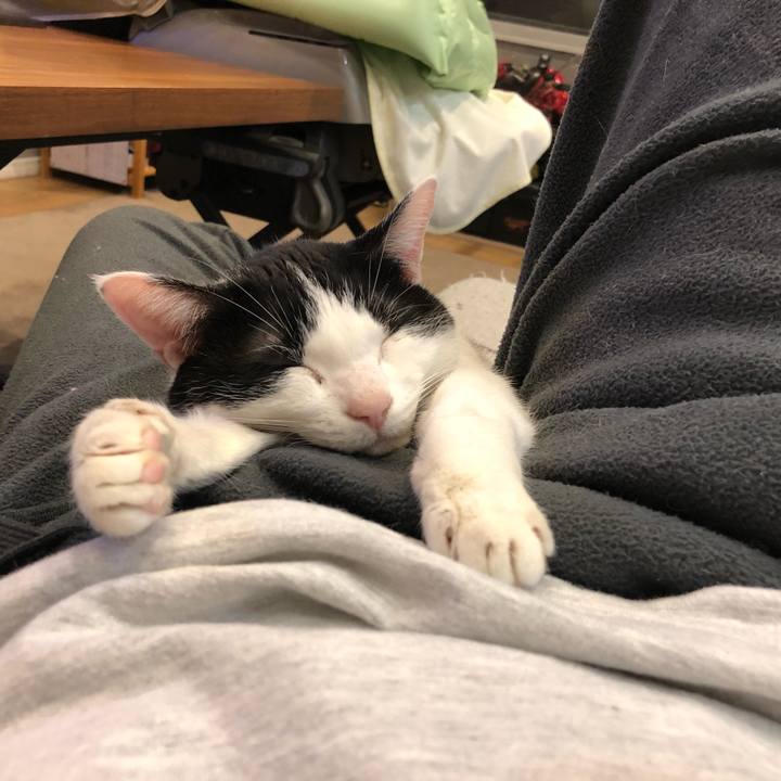 07d06e85 606a 45aa b61b 56689a0900ee 1669132015696