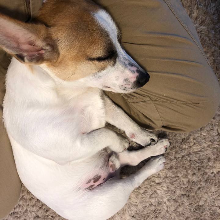 07d0b0fe 1469 4e22 92f5 81c3c5d2c5e8 1553953895505