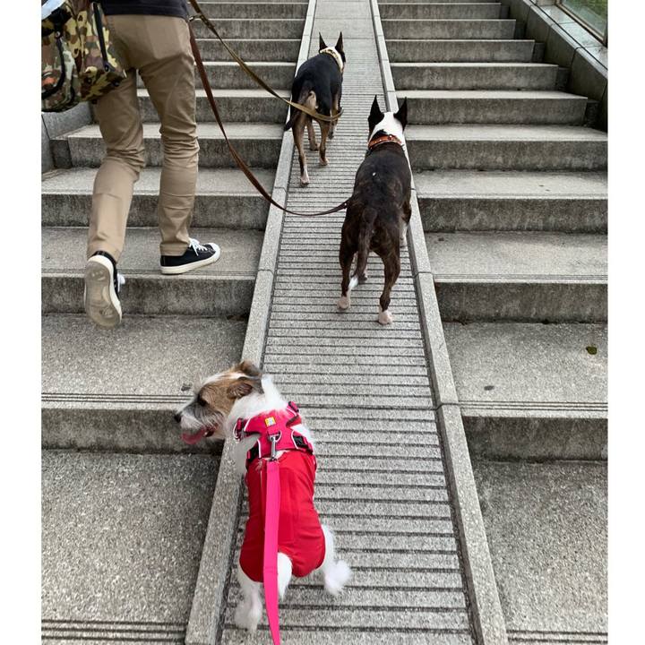 07d0bf62 5ced 46d1 a697 f149919b31c0 1569682661155