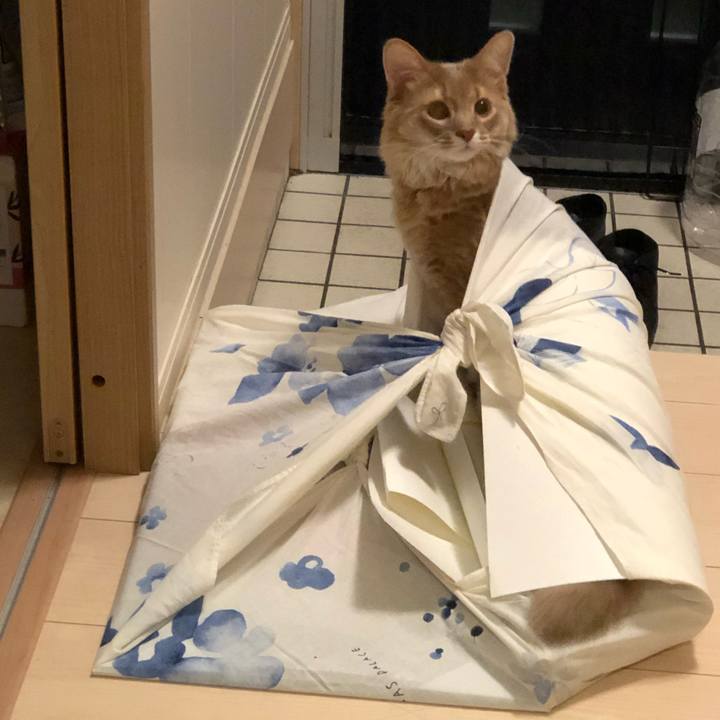 07d0c1ca 6248 4f42 ba41 9ed3fea53428 1573980579566