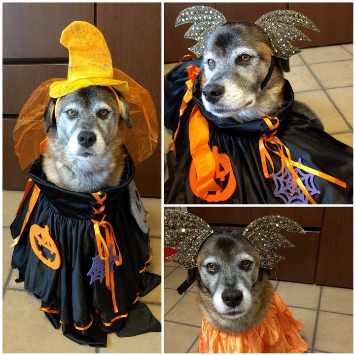 07d0ca52 249c 4f25 8fbe 7e0b85a0c7bf 1635641508668