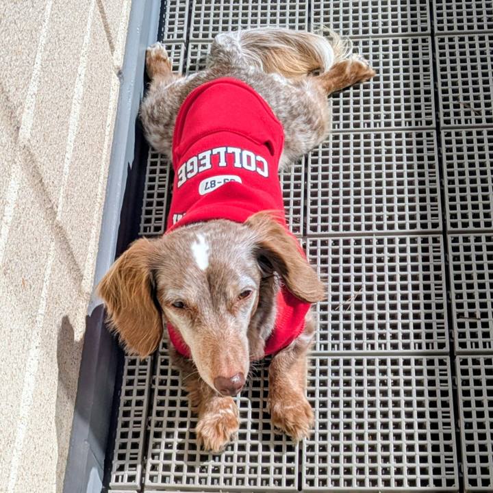 07d0f6bc 5616 48bb 8028 8ed96882cd68 1770624586831