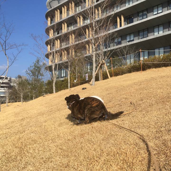 07d114a0 b148 4f82 967e 9cbf99be3009 1549294497616