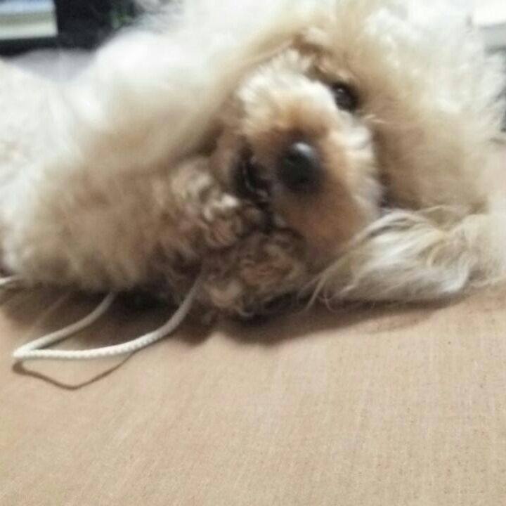 07d14f6d 4a32 4cb3 a086 6ecf7aefd9ab 1530620388031