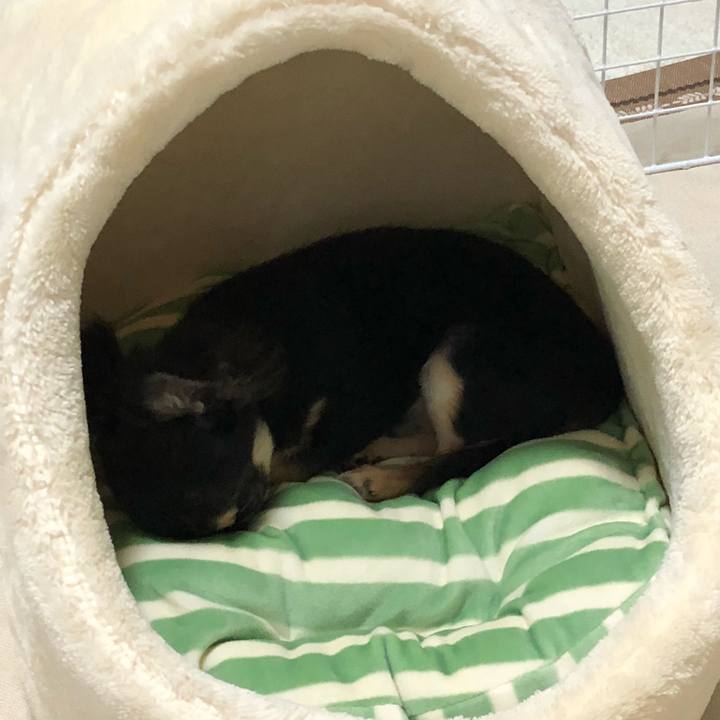 07d1b7a9 291a 48e7 9394 74f9c8a6f946 1538378134330