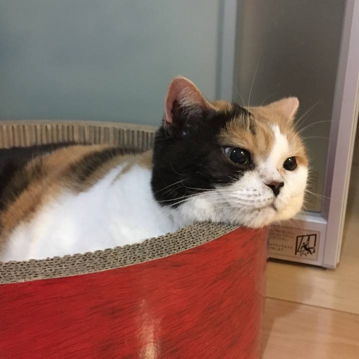 07d1c4bd a566 4177 acb2 240a35772f94 1535189716827