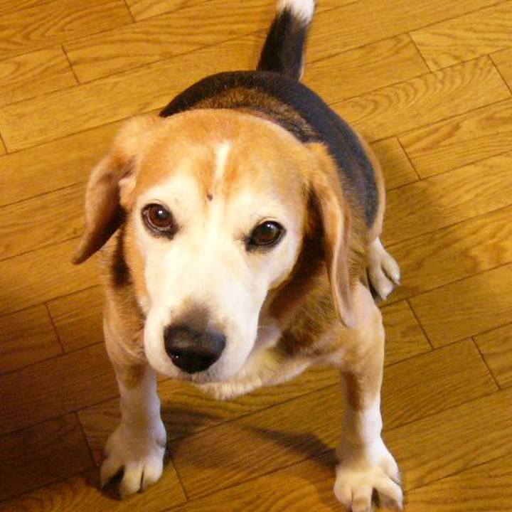 07d1cdf6 ed49 43d6 b0f5 23fc8e445c9b 1645926303163