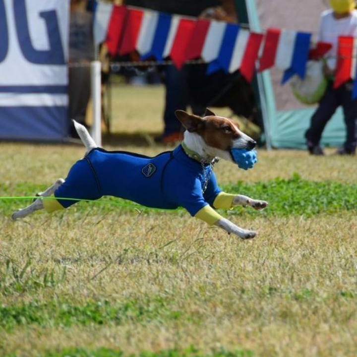 07d1dbd1 f031 4baf 9f35 8a633e0d353c 1604240933420