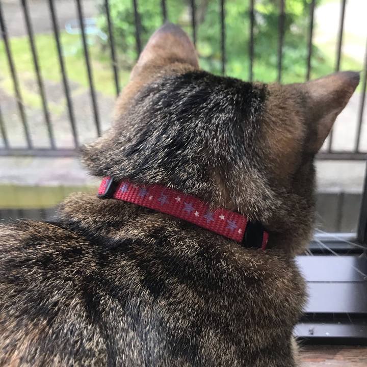 07d1ebbc 0aef 44e5 9ea9 a035fed3ccd8 1594859363554