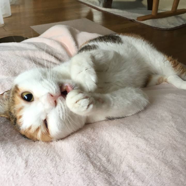 07d20046 7378 41b3 a725 5ca4713ec829 1563332688315