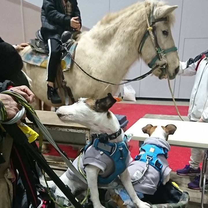 07d21078 f87c 4bb4 bef8 2b460ac3f23b 1547378173826