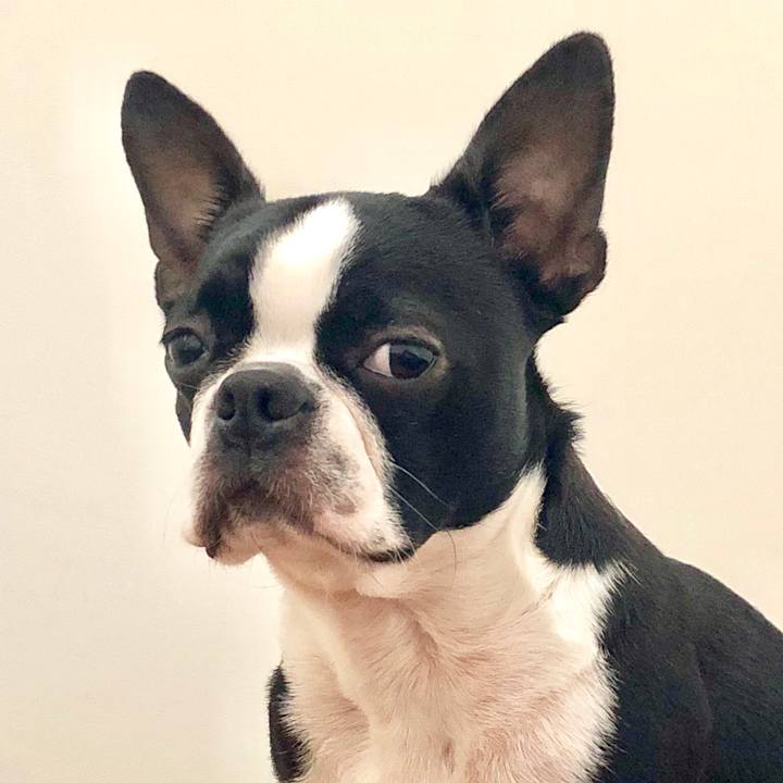 07d23247 73b5 4daa 8f7a 829b3b96720d 1523965008897