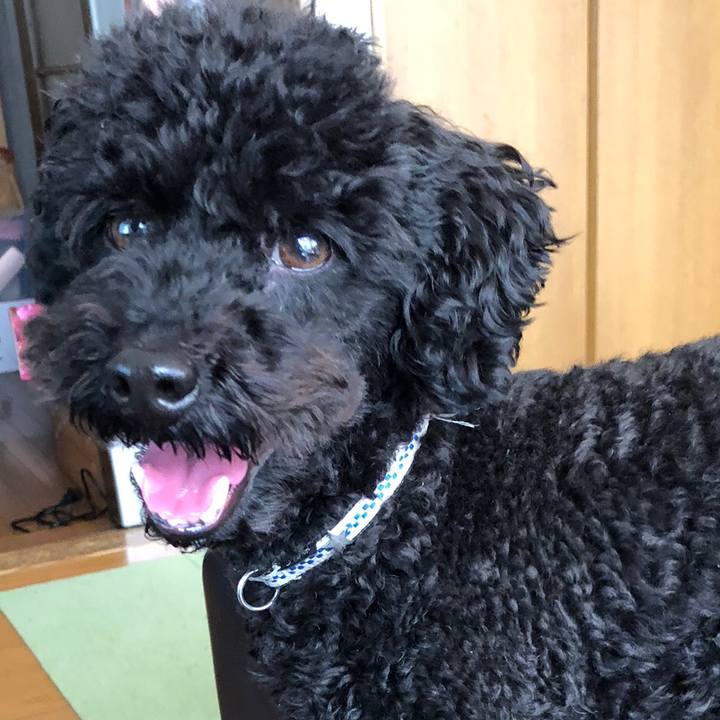 07d2505a 1ee6 42e1 9f6b a030510b1bda 1549071489225