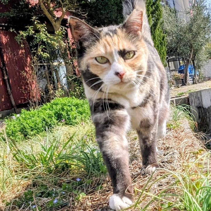 07d292c3 925f 429a adf9 8e1e7ed98266 1771856676198