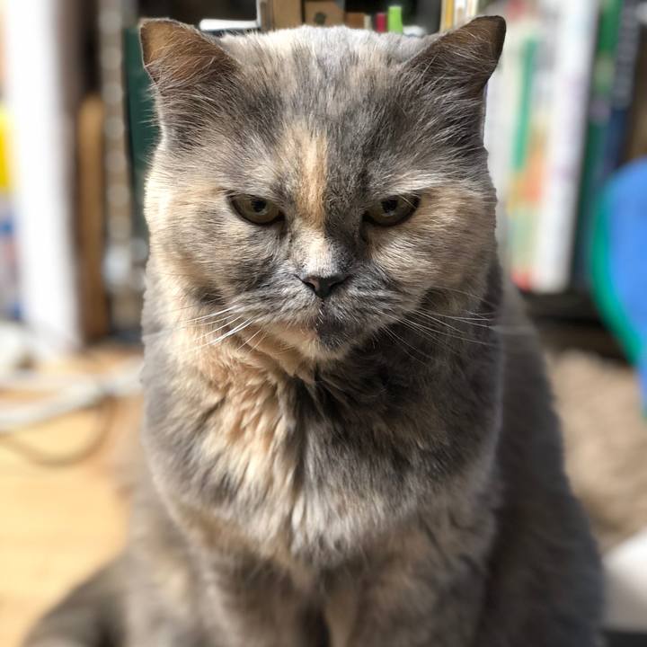 07d29544 3848 43e2 ab31 eda7031d06e9 1665583040109