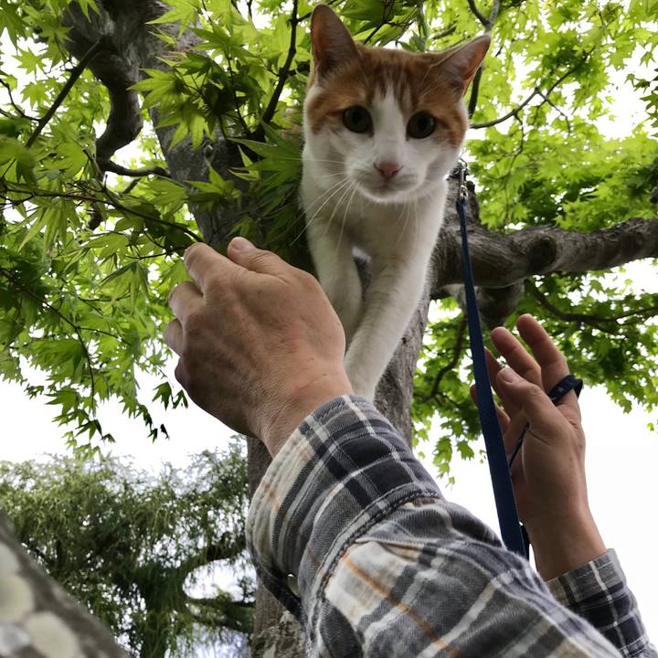 07d2bda9 b0bd 4668 a4e4 44b95376aca9 1525249716800