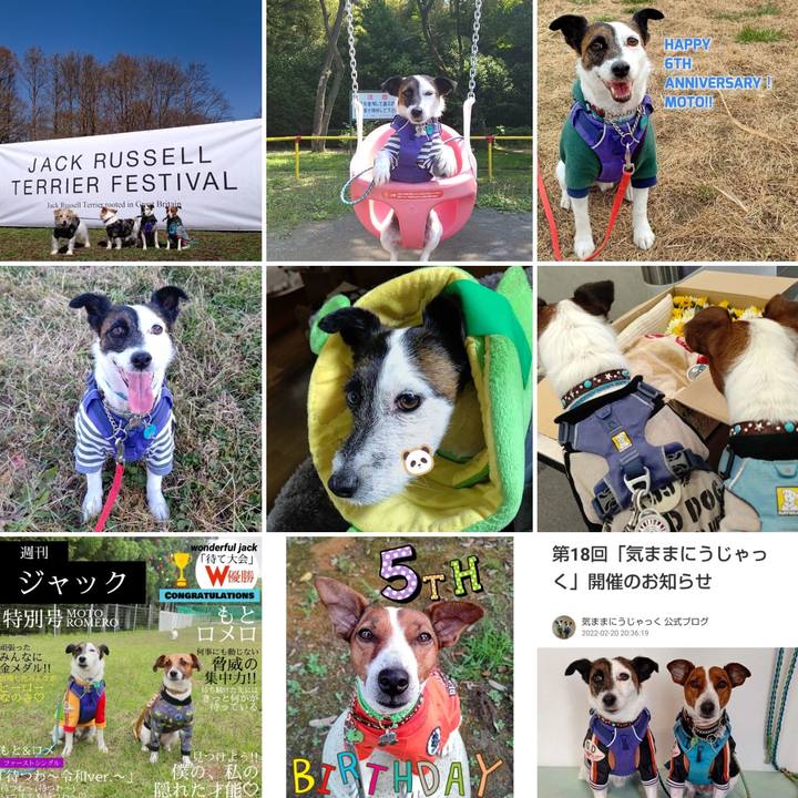 07d2d4cb 7702 478d 9b72 0d4f25e48445 1672473339636