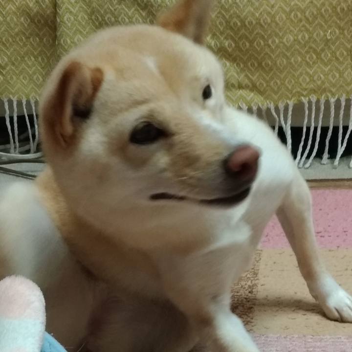 07d30a89 d31c 43e0 aafe 9243c377467b 1574729456483