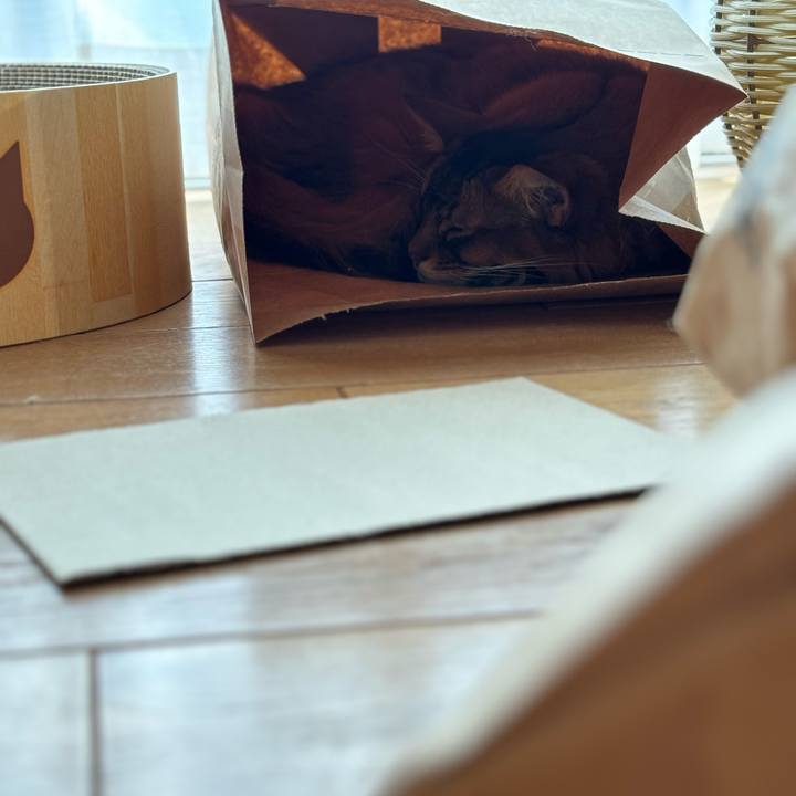 07d30b79 d74d 42b4 9361 738fb2669682 1760515631061