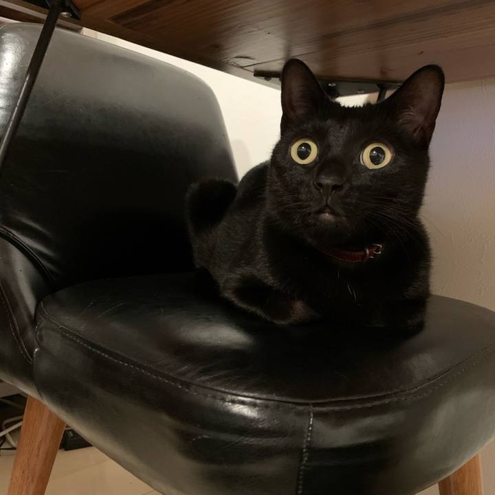 07d310bb 275d 4c40 9bb4 e53a22068619 1573132407992