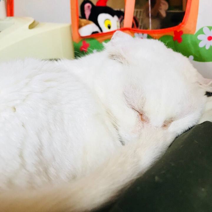 07d32b25 777a 4bda a6fb 08e1b3e3714b 1536636021783